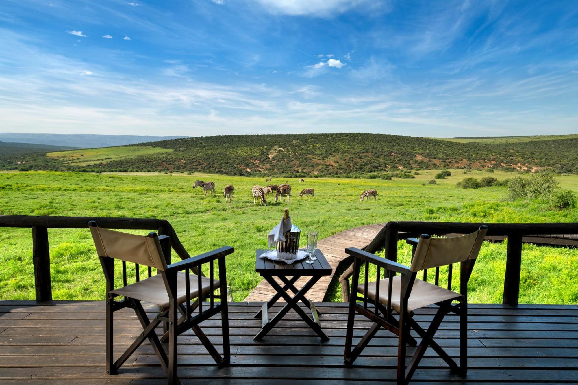 Gorah Elephant Camp Адо Екстериор снимка