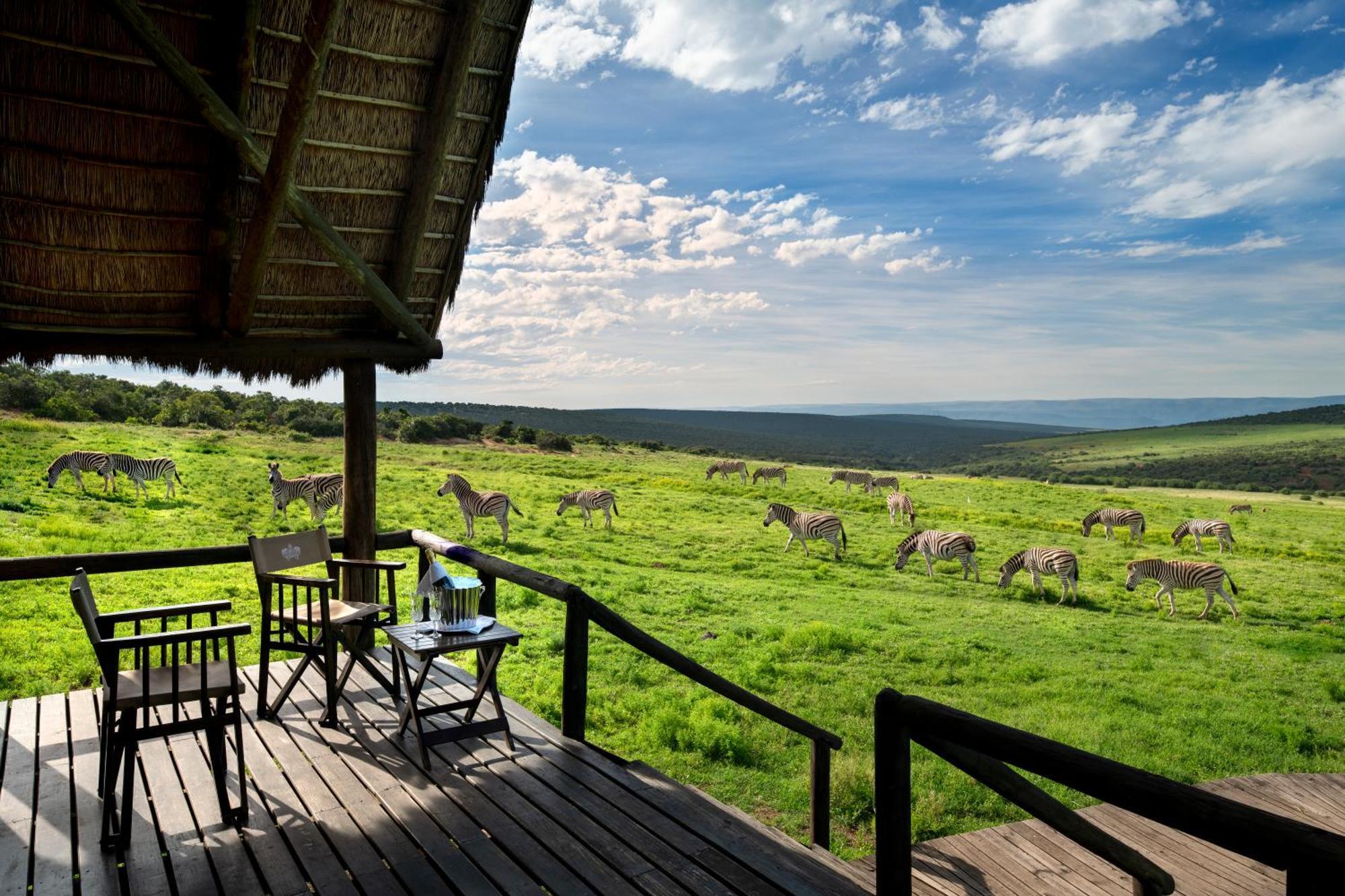 Gorah Elephant Camp Адо Екстериор снимка