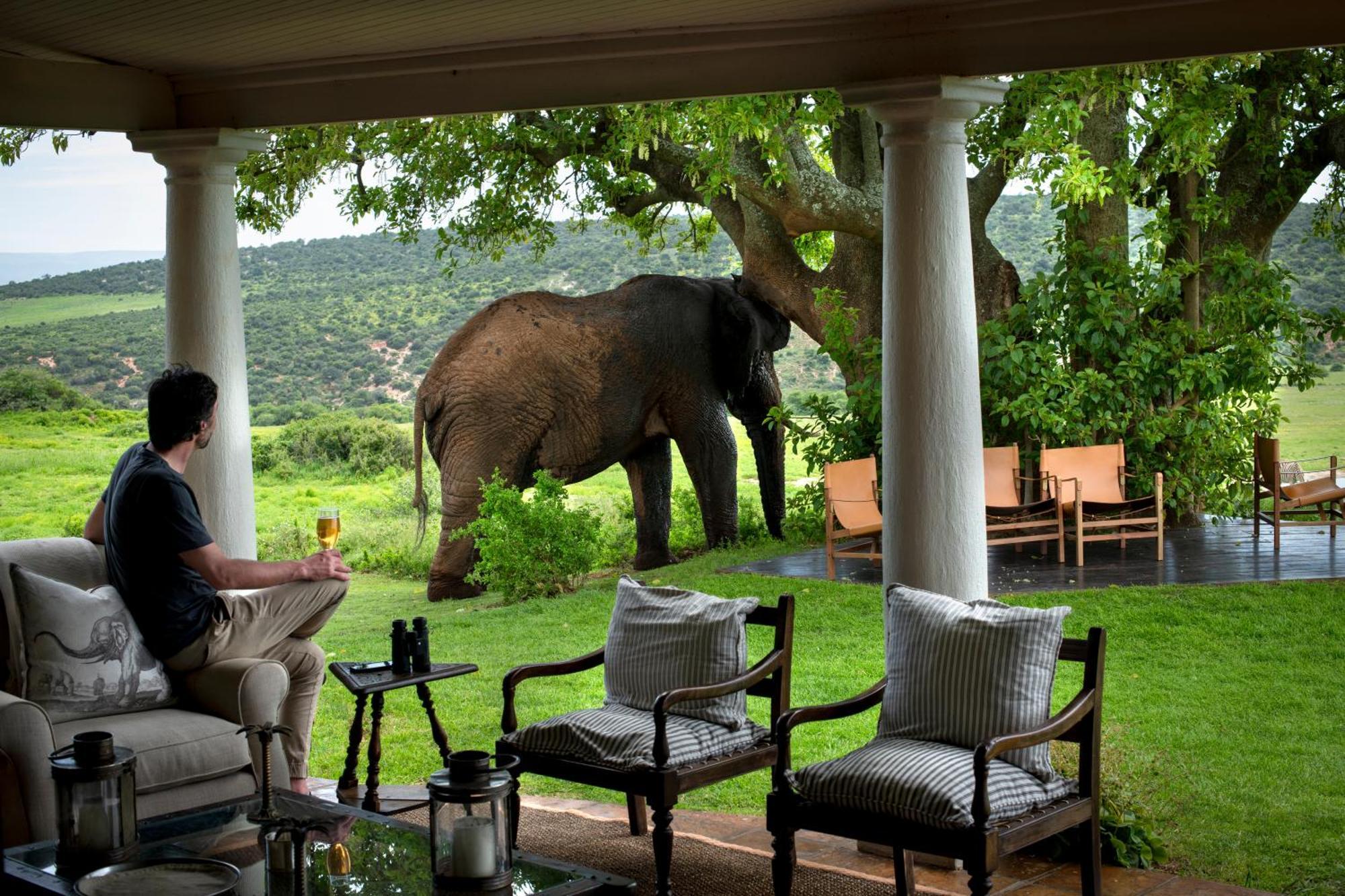 Gorah Elephant Camp Адо Екстериор снимка
