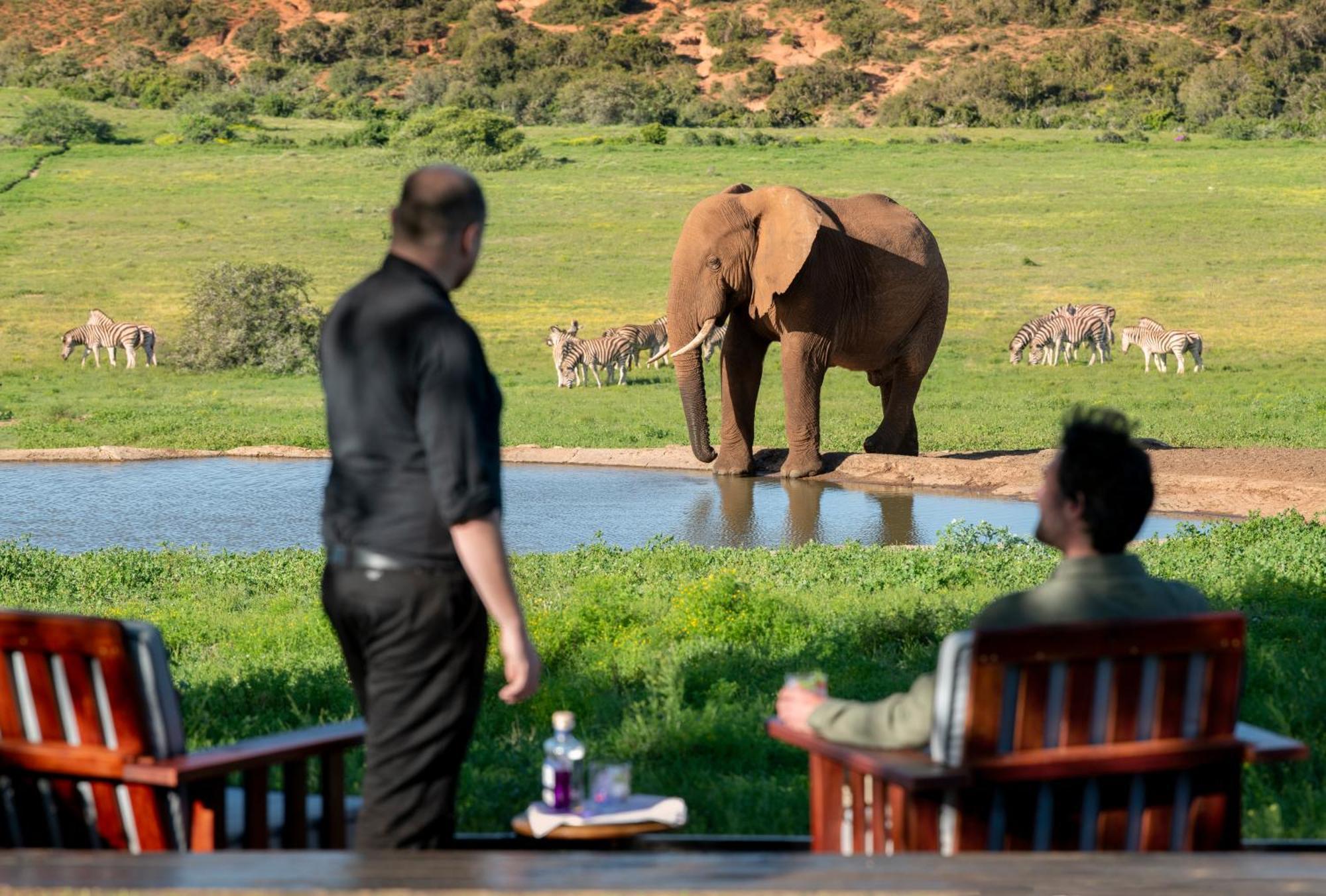 Gorah Elephant Camp Адо Екстериор снимка