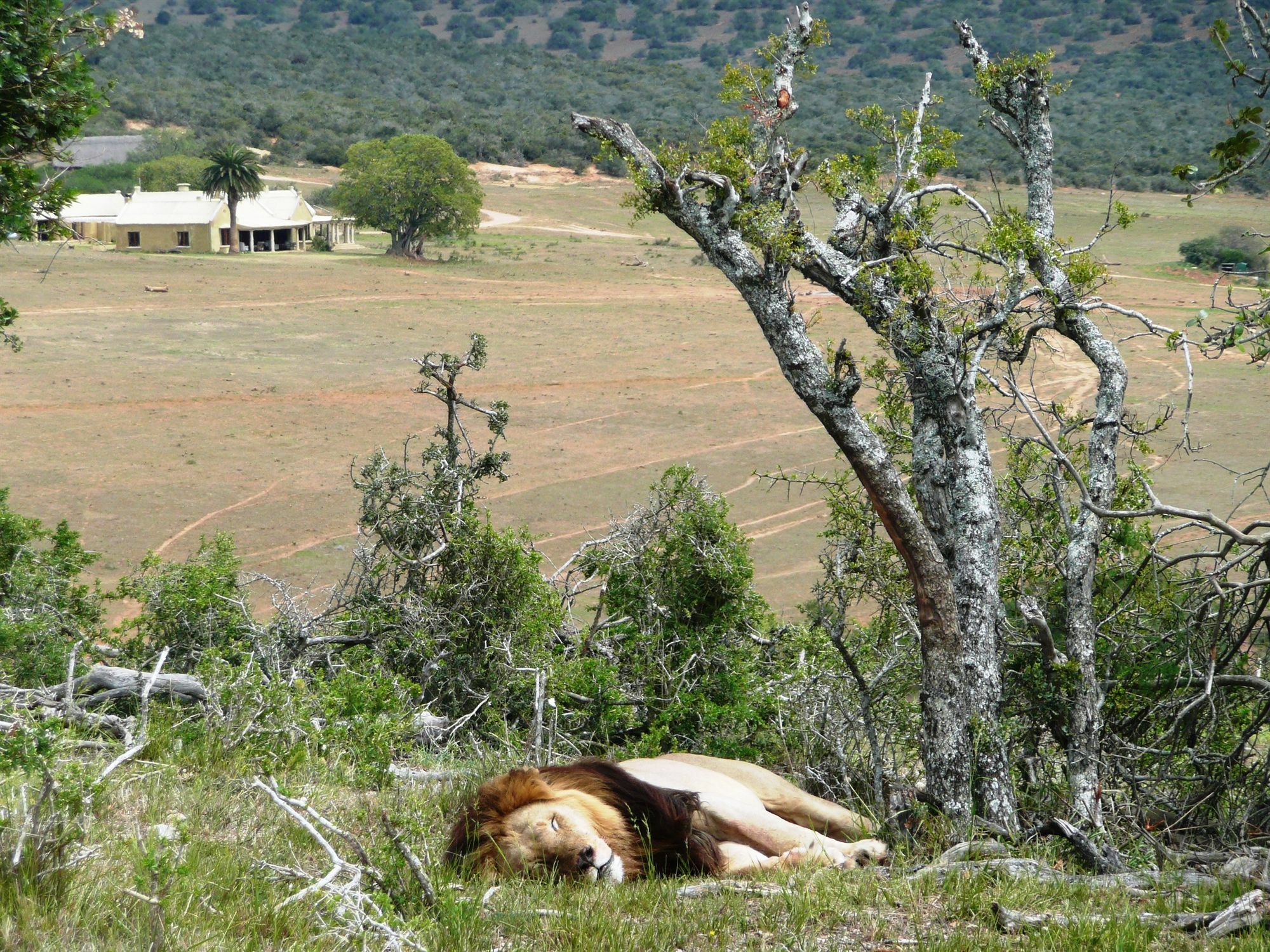 Gorah Elephant Camp Адо Екстериор снимка